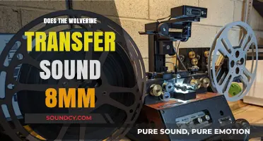 How Wolverine Transfer 8mm Film to Digital