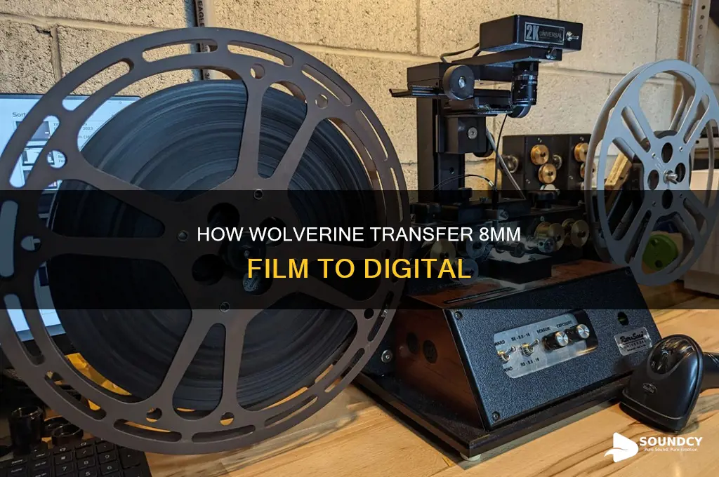 does the wolverine transfer sound 8mm