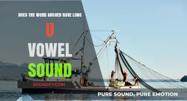 Does 'Argued' Have a Long U Vowel Sound? Exploring Pronunciation and Phonetics