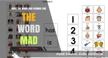 Does 'Bad' Sound Like 'Mad'? Exploring Phonetic Similarities in English
