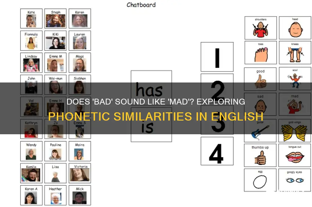 does the word bad sounds like the word mad