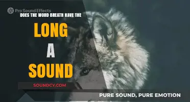 Does 'Breath' Have a Long A Sound? Unraveling Phonetic Mysteries