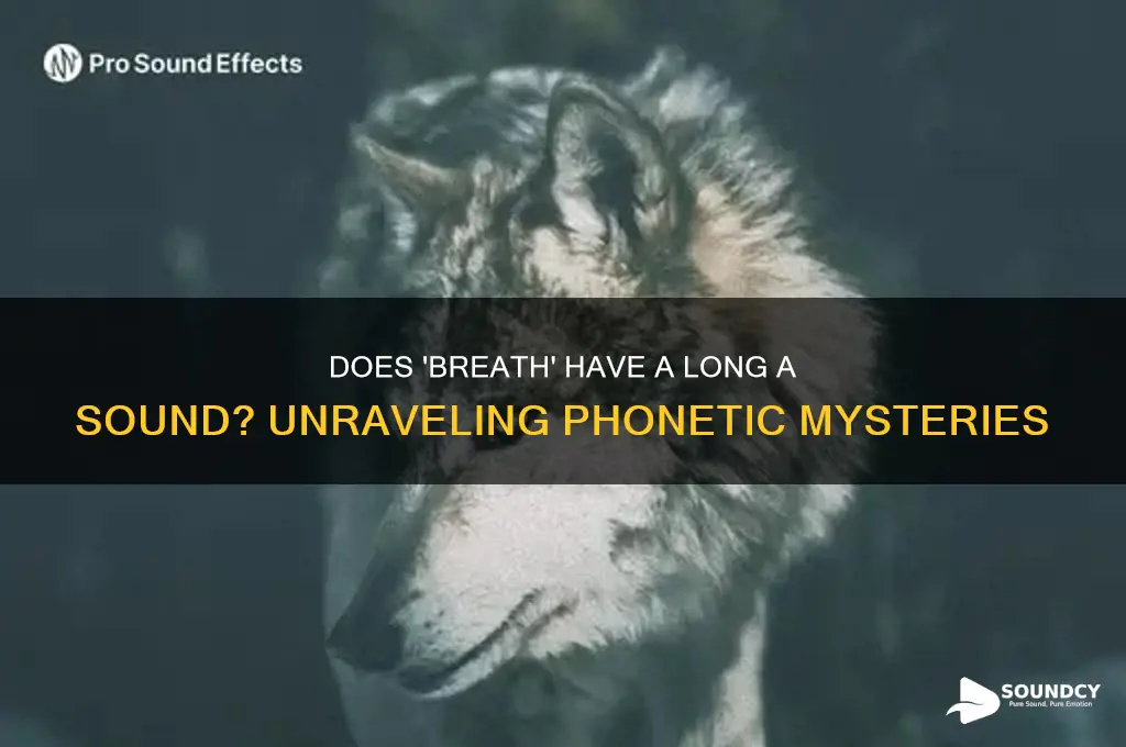 does the word breath have the long a sound