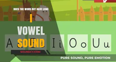 Does 'But' Have a Long I Vowel Sound? Unraveling the Phonetic Mystery