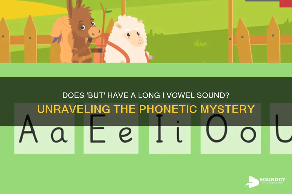 does the word but have long i vowel sound