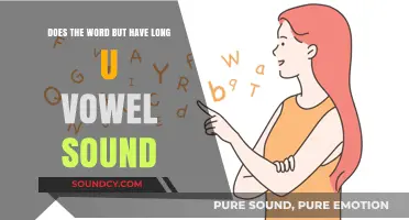 Does the Word 'But' Have a Long U Vowel Sound? Exploring Pronunciation