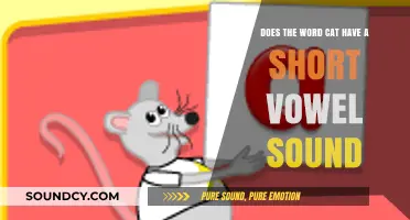 Does 'Cat' Have a Short Vowel Sound? Exploring Phonetics in Simple Words