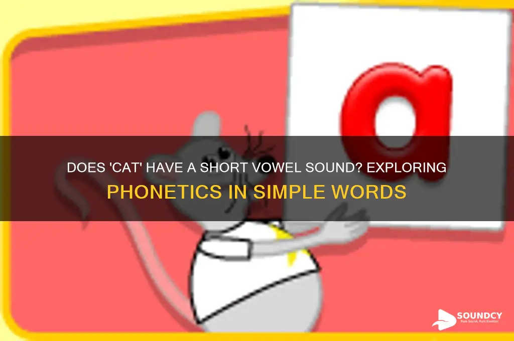 does the word cat have a short vowel sound