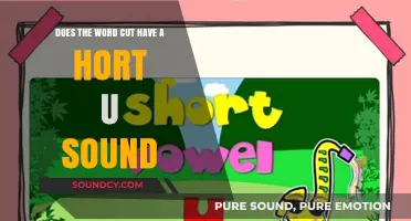 Does 'Cut' Have a Short U Sound? Exploring English Phonetics