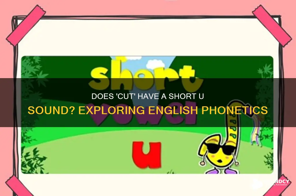 does the word cut have a hort u sound