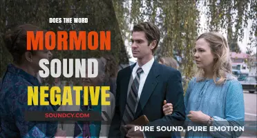 Mormon: A Negative Connotation?