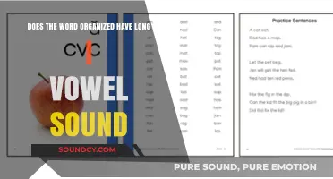 Is It Organized with a Long I? Unraveling the Vowel Sound Mystery