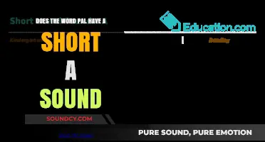 Does 'Pal' Have a Short A Sound? Exploring Pronunciation and Origins