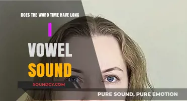 Does 'Time' Have a Long I Vowel Sound? Exploring English Pronunciation