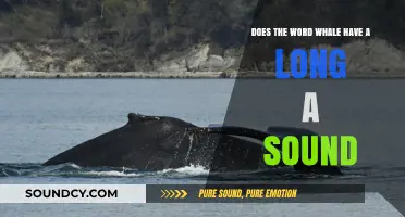 Whale's Long A Sound: Unraveling the Phonetic Mystery in English