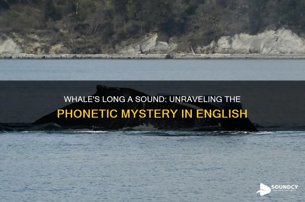 does the word whale have a long a sound