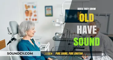 They Do Grow Old: A Sonic Journey