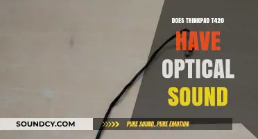 ThinkPad T420: Optical Sound Output?