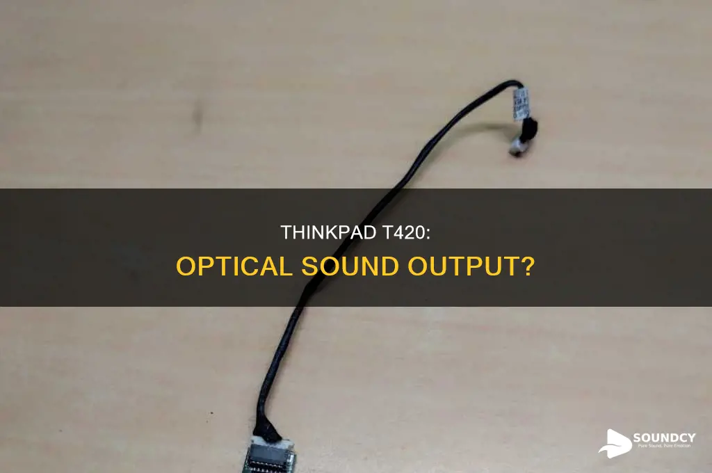 does thinkpad t420 have optical sound