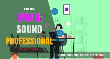 Crafting Professional Emails: Tips to Ensure Your Message Sounds Polished and Credible