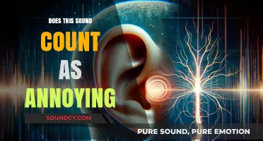 Annoying Noises: What Counts as Auditory Irritation?