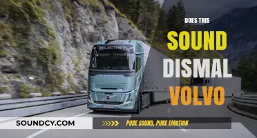 Does Volvo's Current Outlook Sound Dismal? A Critical Analysis