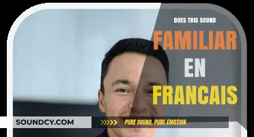 Familiar French Phrases: Do They Ring a Bell?