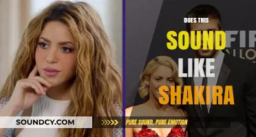 Does This Sound Like Shakira? Analyzing Vocal Styles and Musical Traits