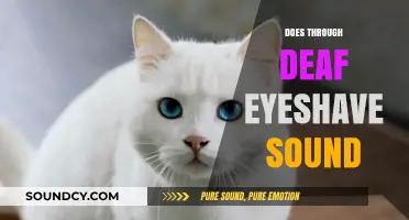 Does 'Through Deaf Eyes' Capture Sound? Exploring Perception and Representation