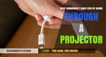 Can Thunderbolt Cables Transmit Audio to Projectors? Exploring the Possibility
