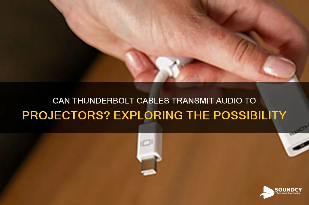 does thunderbolt cable pick up sound through a projector