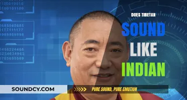 Exploring the Linguistic Similarities: Does Tibetan Sound Like Indian Languages?