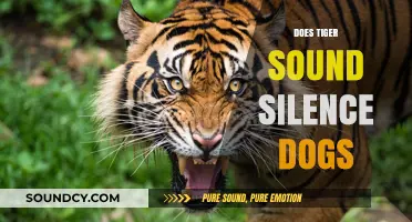 Tiger's Roar: Can It Silence Barking Dogs? Exploring the Myth