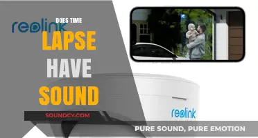 Does Time-Lapse Include Audio? Unraveling the Sound Mystery