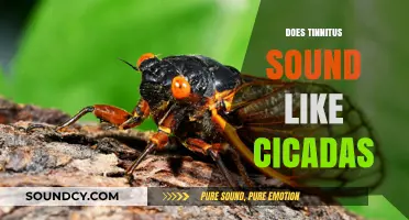 Does Tinnitus Mimic Cicada Sounds? Exploring the Buzzing Mystery
