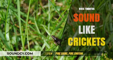 Does Tinnitus Mimic Cricket Sounds? Understanding the Ringing in Your Ears