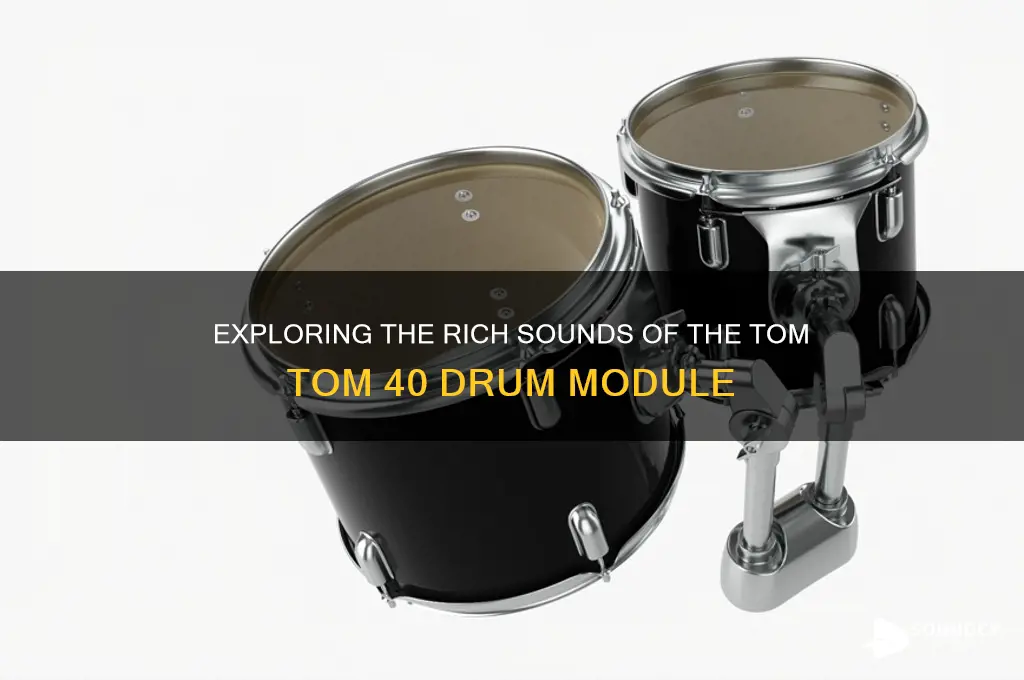 does tom tom 40 sounds