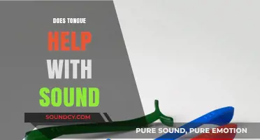 How Your Tongue Shapes Speech: Unlocking the Science of Sound Production