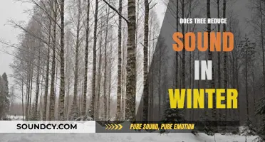 How Trees Affect Sounds in Winter