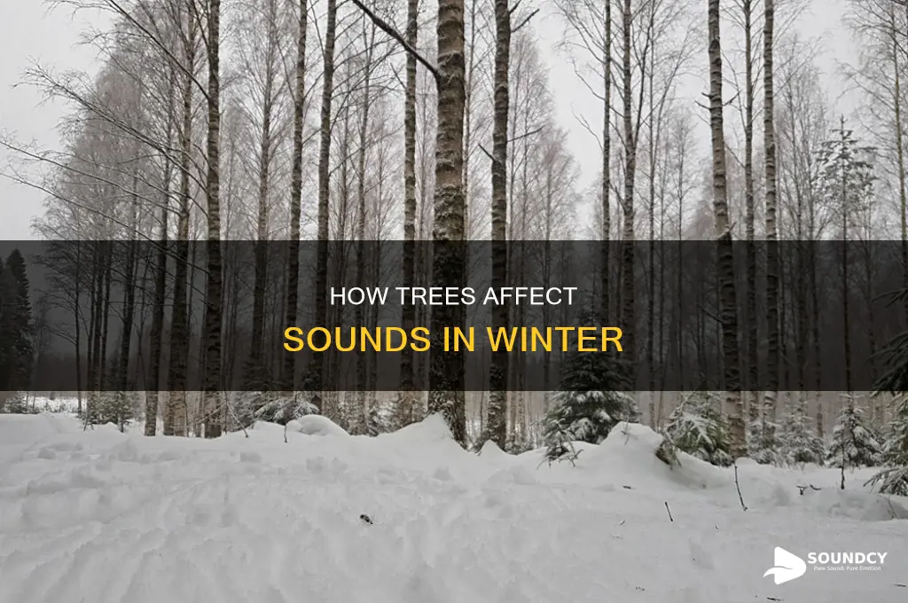 does tree reduce sound in winter