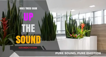 Trees: Natural Sound Absorbers and Reflectors