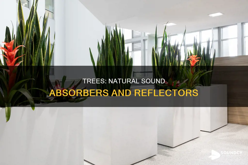 does trees soak up the sound