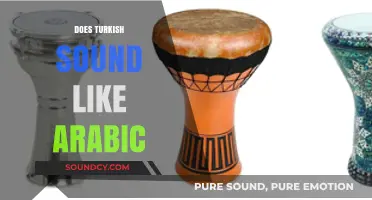 Does Turkish Sound Like Arabic? Exploring Linguistic Similarities and Differences