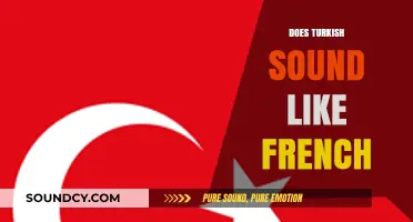 Does Turkish Sound Like French? Exploring Linguistic Similarities and Differences