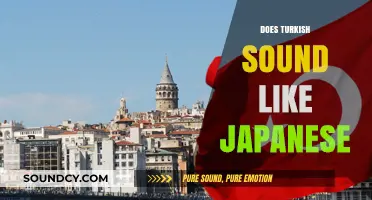 Does Turkish Sound Like Japanese? Exploring Language Similarities and Differences