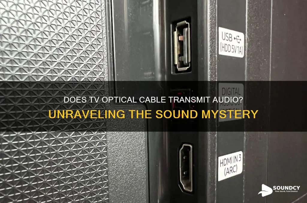does tv optical carry sound
