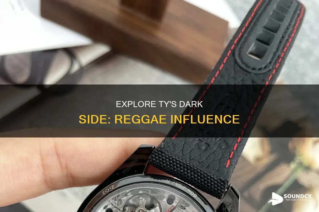 does ty dark side sound reggae