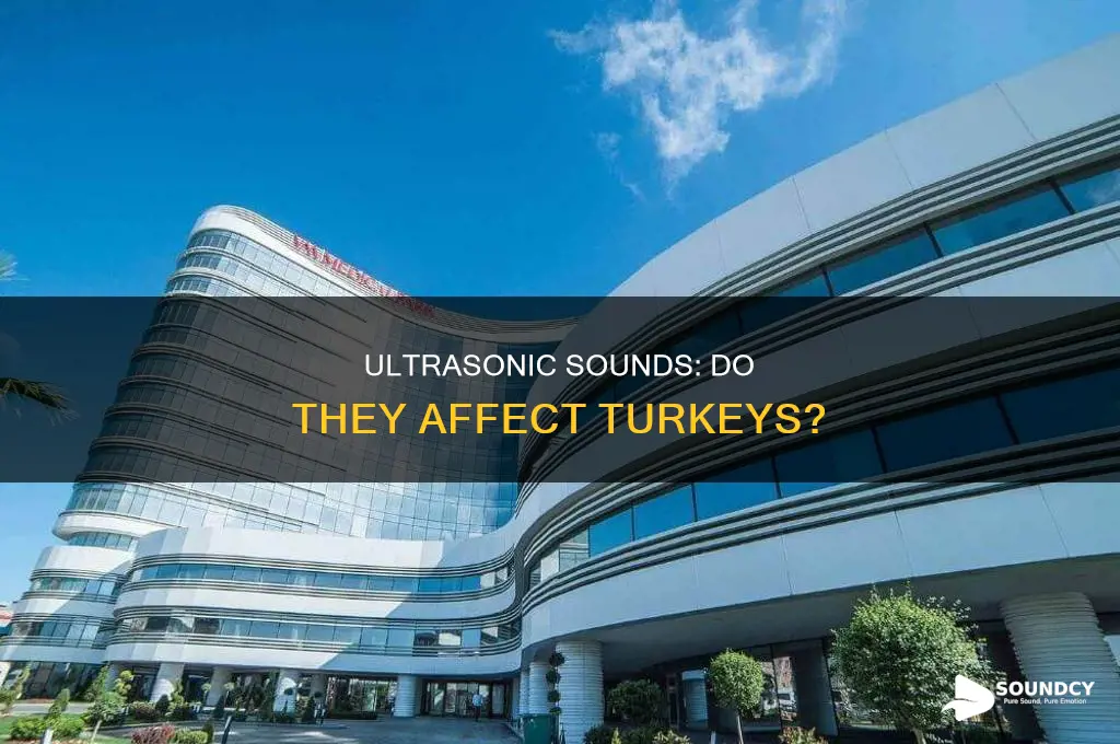 does ultra sonic sound bother turkeys