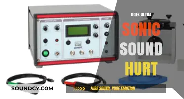 Does Ultrasonic Sound Hurt? Exploring the Effects on Humans and Animals