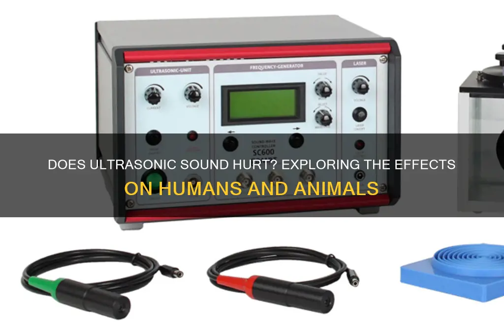 does ultra sonic sound hurt